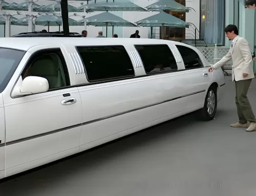 Premier Limousine Chauffeured Services – Kingston Trips